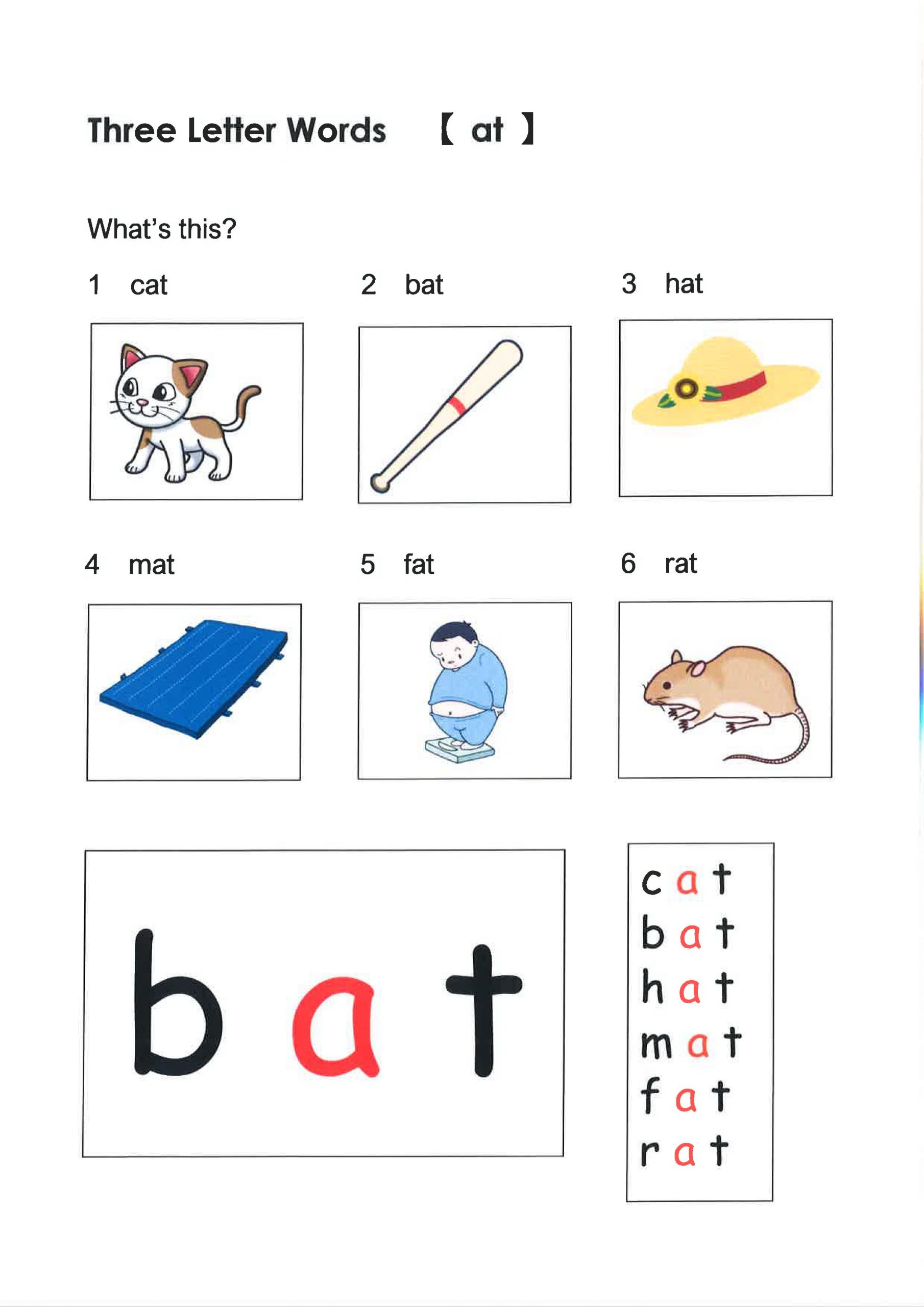 英語フォニックス学習、いつから始めるのがいいですか？