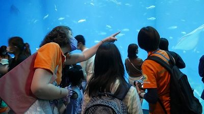 英語遠足ってどんな感じ？